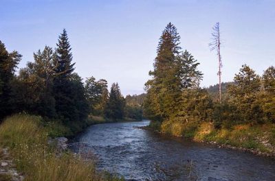 Chaloupka na Šumavě