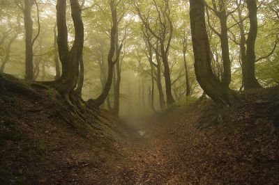 Horská chalupa Jeřabina