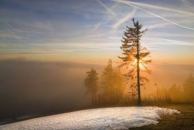 Horská chalupa Jeřabina