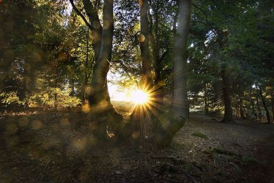 Horská chalupa Jeřabina