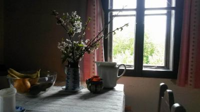 Roubená chalupa Krátká 31