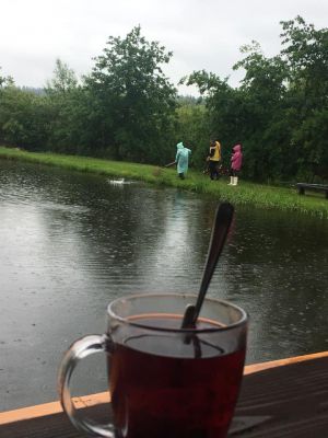 Chalupa Lipno - Plánička