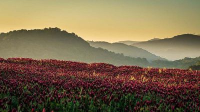 Chalupa v Beskydech - Lubno