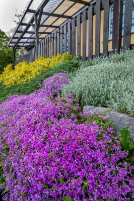 Chalupa v Beskydech - Lubno