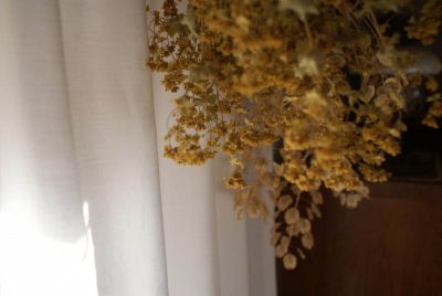 Chalupa v Nedvězí v Orlických horách