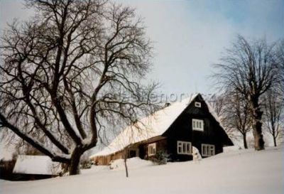 Chalupa v Nedvězí v Orlických horách