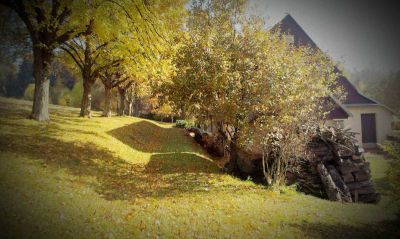 Chalupa v Nedvězí v Orlických horách