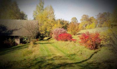 Chalupa v Nedvězí v Orlických horách