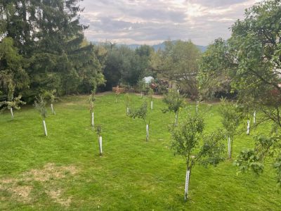 Roubenka Červená Voda