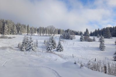 Chalupa pod Pancířem