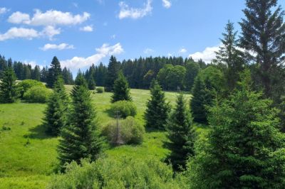 Chalupa pod Pancířem