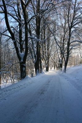 Chalupa pod Pradědem