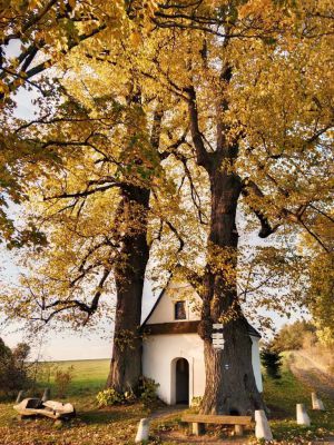 Chalupa Poutník Branná