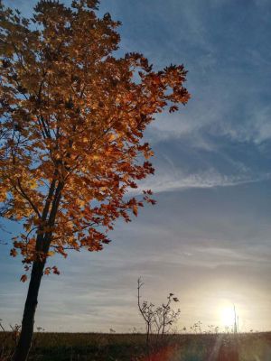 Chalupa Poutník Branná