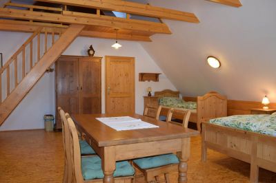 Sněžné - chalupa Na Krahulci