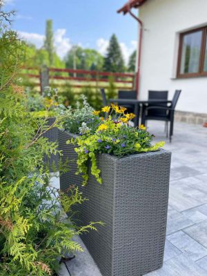 Chalupa Soběšice - kraj Šumavy