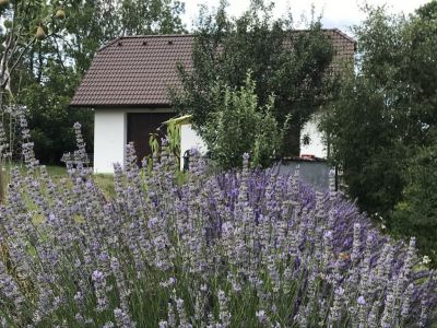 Chalupa ve Stachách