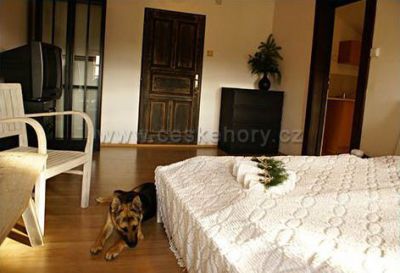 Rekreační chalupa Trnov