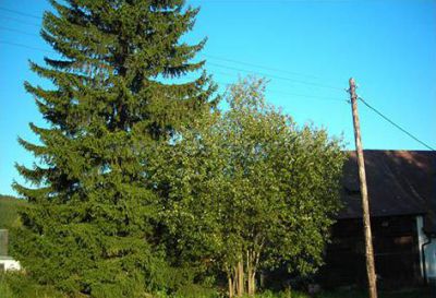 Chalupa U Horáčků