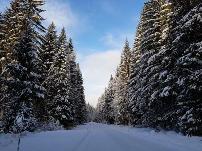 Chalupa U vlčí stezky