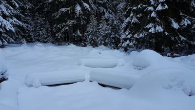 Chalupa U vlčí stezky