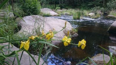 Chalupa Václav Lipno