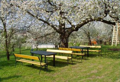 Pískovcová chalupa Vojice