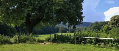 Chalupa v Rychlebech