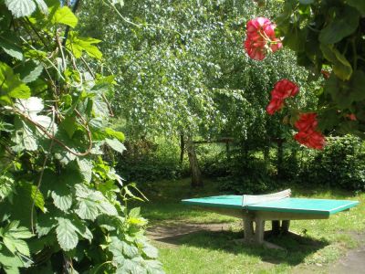 Chaloupka pod lesem - Hostice Pustá