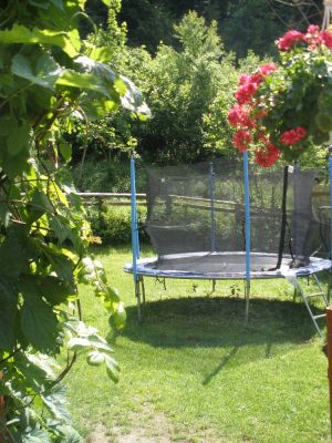 Chaloupka pod lesem - Hostice Pustá