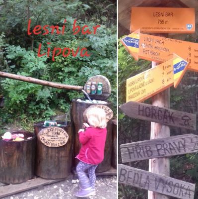 Chaloupka pod lesem - Hostice Pustá