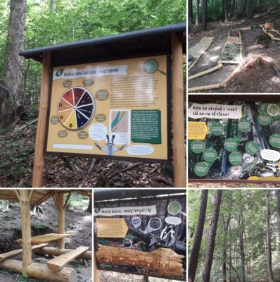 Chaloupka pod lesem - Hostice Pustá