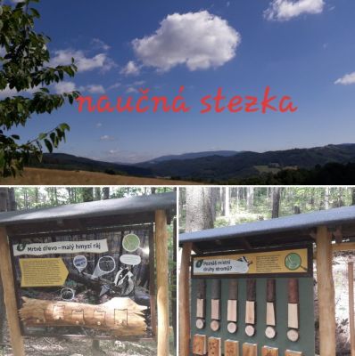 Chaloupka pod lesem - Hostice Pustá