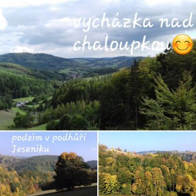 Chaloupka pod lesem - Hostice Pustá