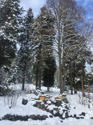 Horská chata Barbora