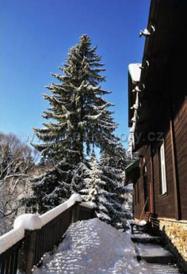 Chata Grácie - bývalá podniková chalupa