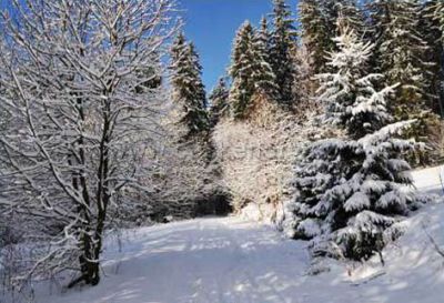 Chata Grácie - bývalá podniková chalupa