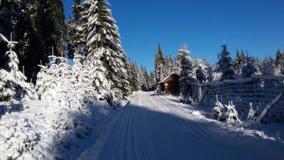 Horská chata Pernink - Nejdecká