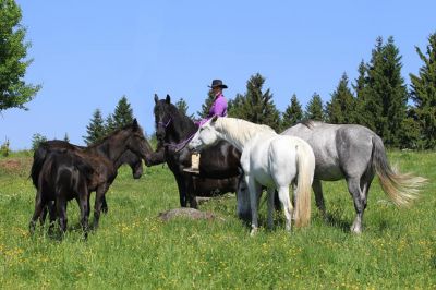 Chata pod Kapličkou