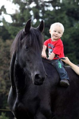 Chata pod Kapličkou