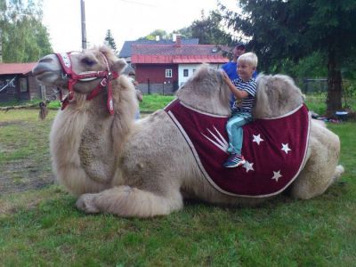 Chata pod Kapličkou