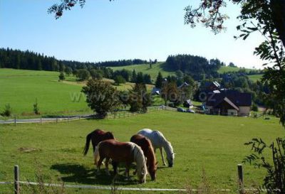 Chata pod Kapličkou