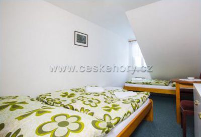 Chata Pod lipami a apartmány Helas