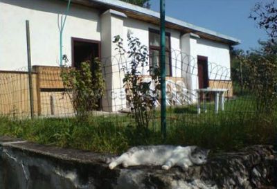 Pronájem chaty a pokojů Vranov nad Dyjí