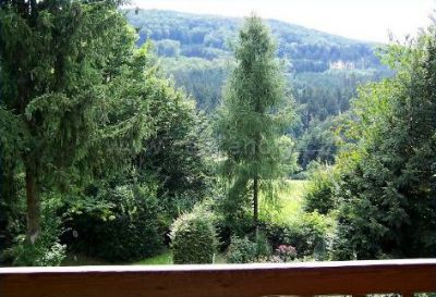 Chata Janečkovi - Rusava