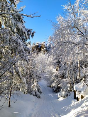 Chata U Liščího potoka