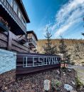 Chata Lesovna