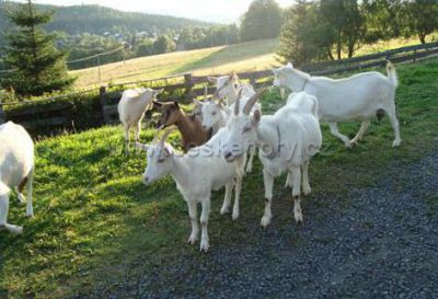 Horská chata Plazmat