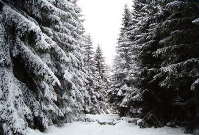 Horská chata Plazmat