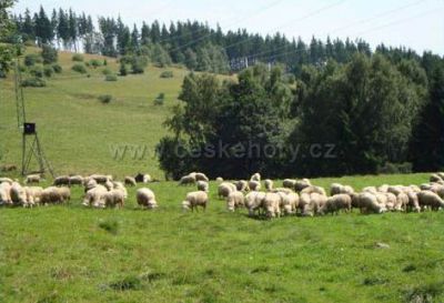 Horská chata Plazmat